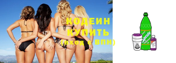 мдпв Снежногорск