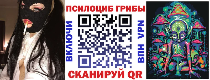 Галлюциногенные грибы Cubensis  купить   Мосальск 